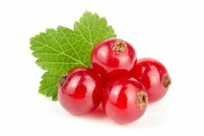 Currant-image