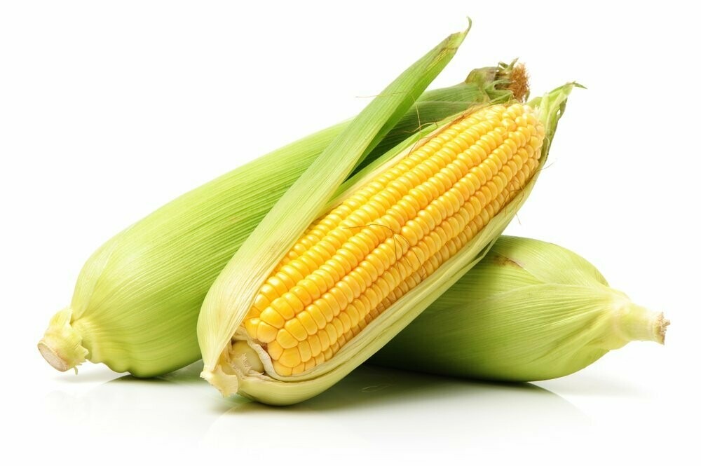 Corn-image